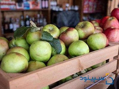 طرح امکانسنجی و طرح توجیهی احداث واحد صنعتی سورتینگ و دسته بندی میوه جات و صیفی جات